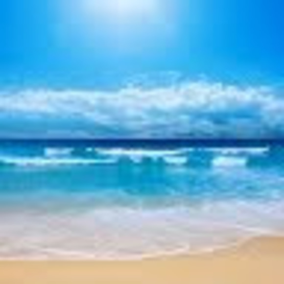 Meet your Posher, Blake - Picture 1 of 1